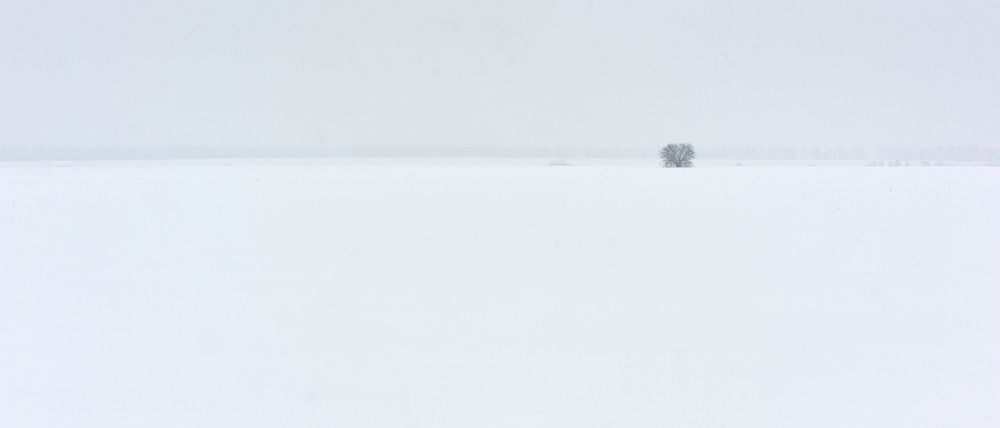 Photograph by Владимир Щеголев