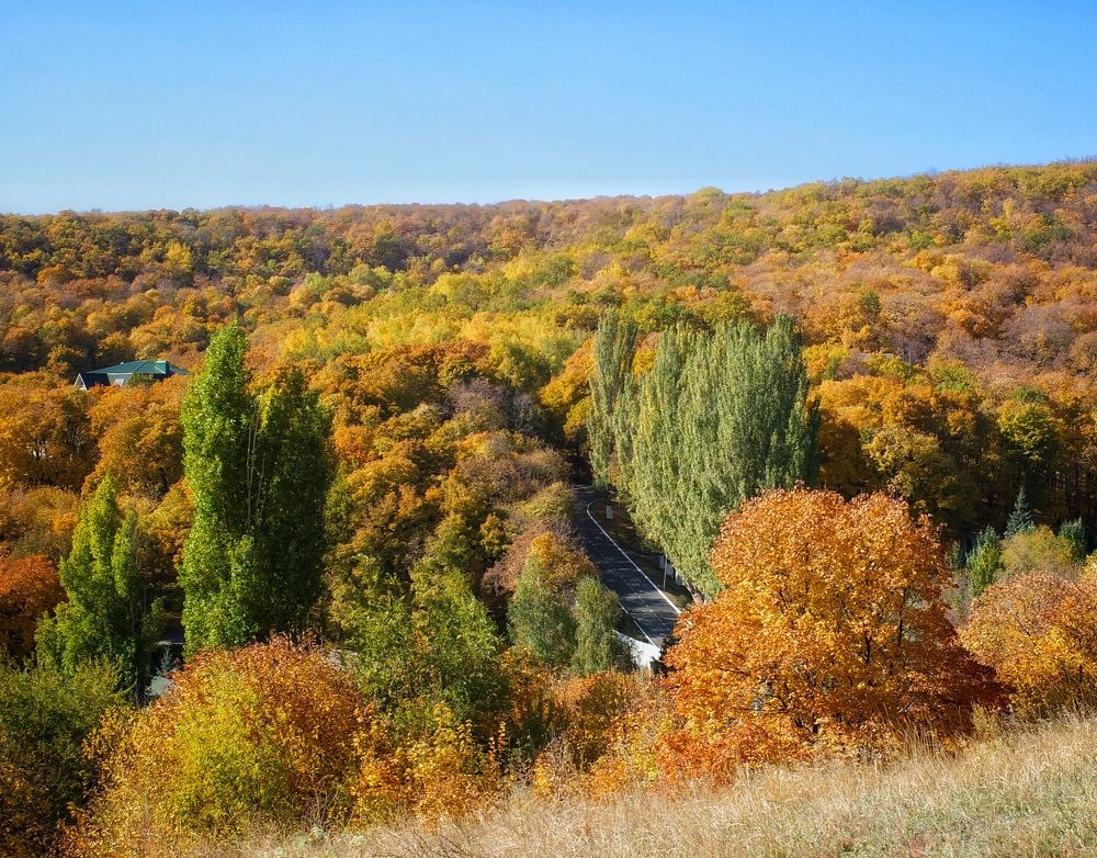 Photograph by Алла