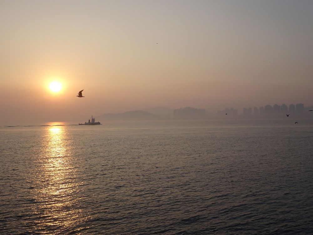Photo #7365150