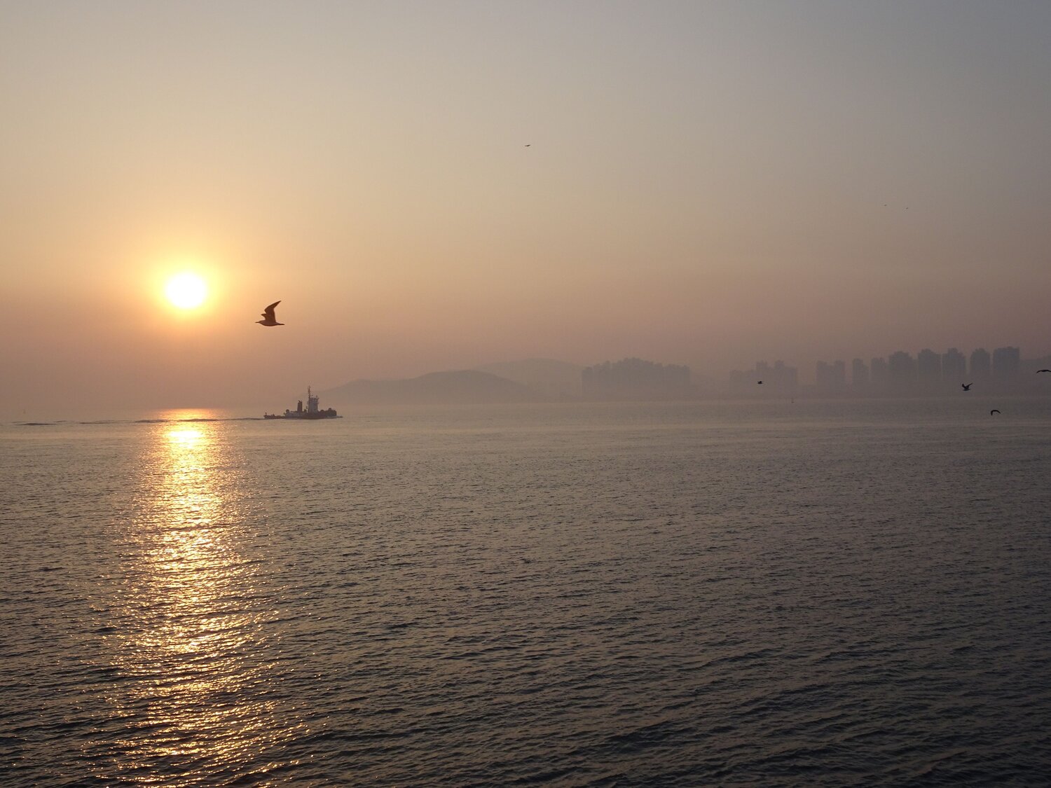 Photo #7365150
