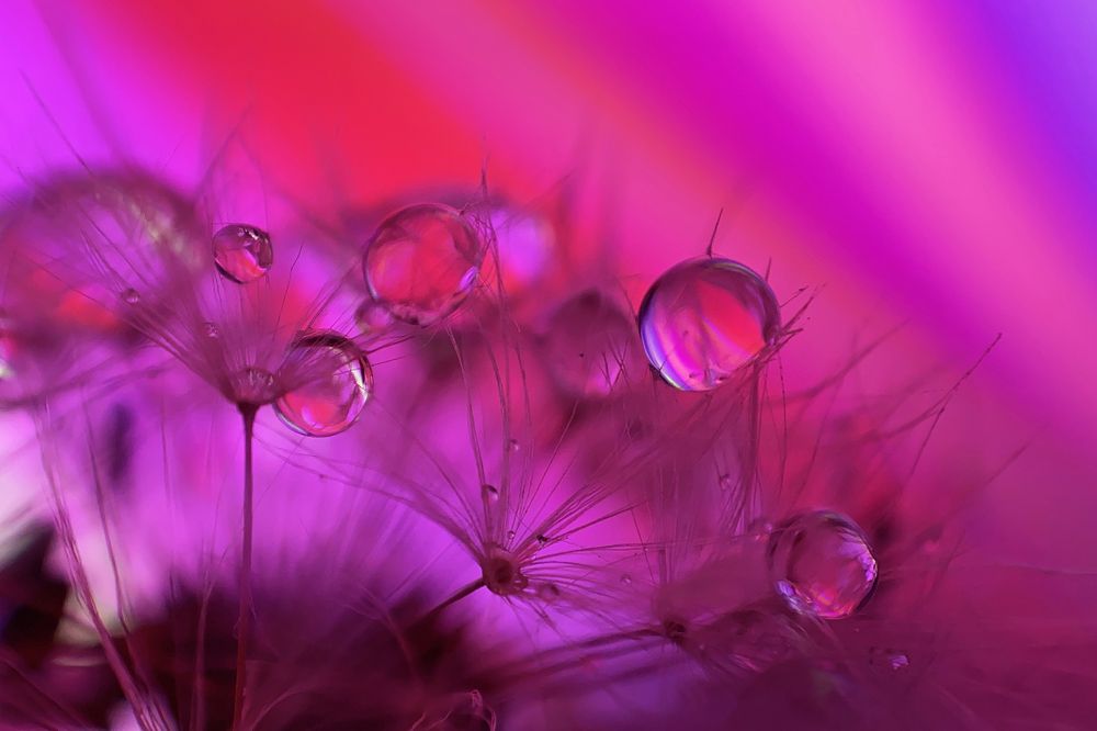 Photograph by Ольга Мурзина