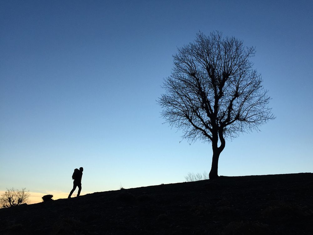 Photograph by Omid mohammadi
