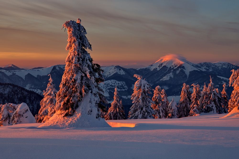 Photograph by Renáta Kuljovská