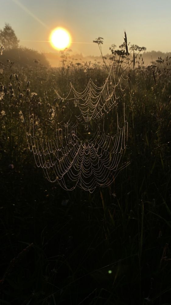 Photograph by Ольга Мурзина