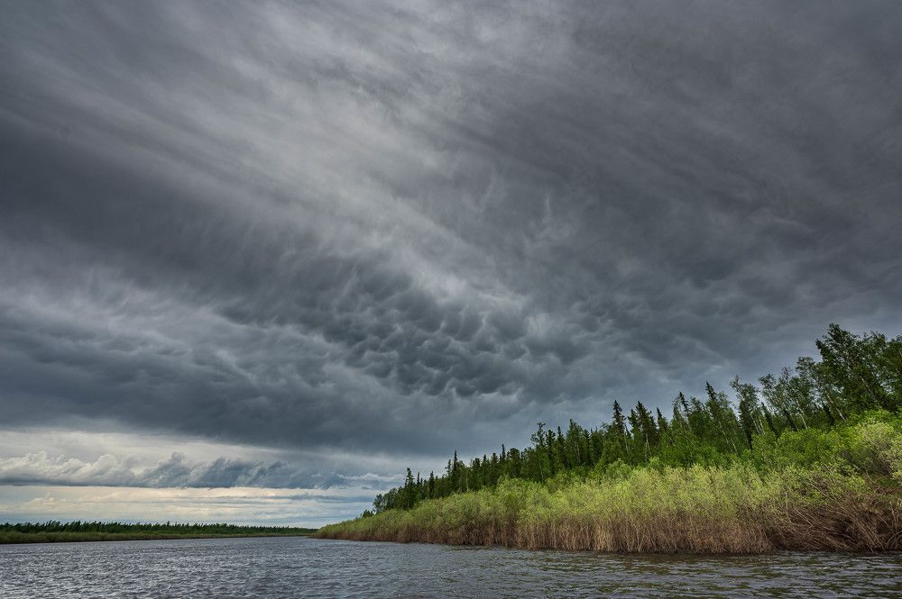 Photograph by Danil Husainov