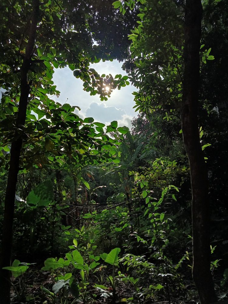 Photograph by Sartajuzzaman