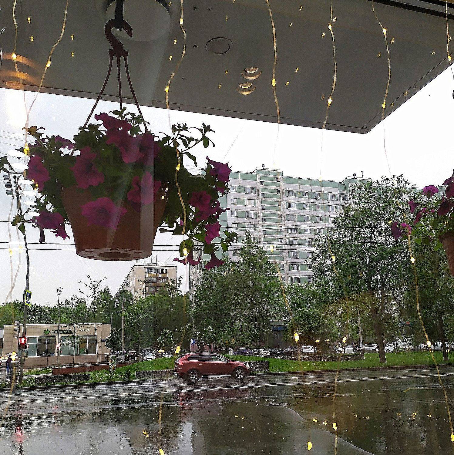 Photo #7365444