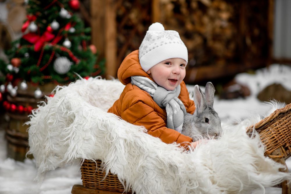 Фотография автора Полина Аксенова