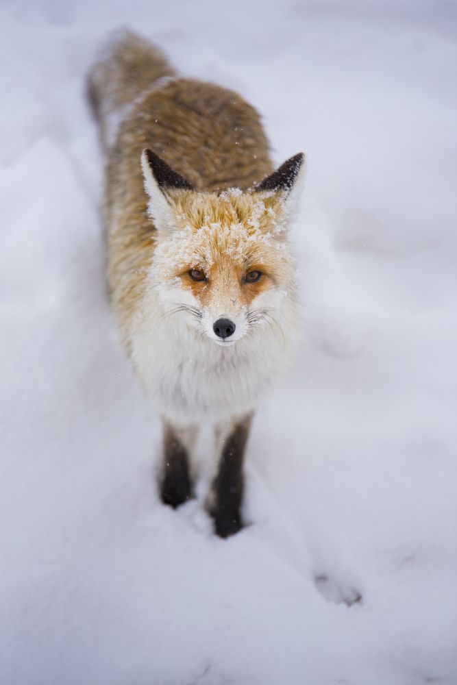 Photograph by mehmet yener