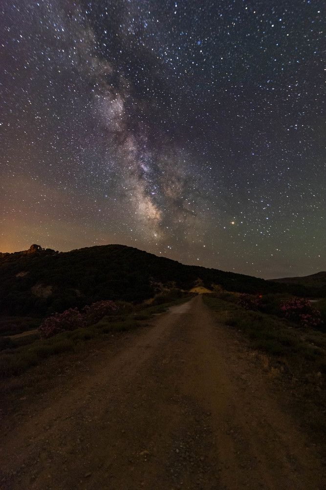 Photograph by mehmet yener