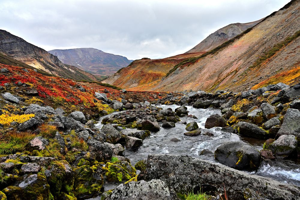 Photograph by Александр Мухин