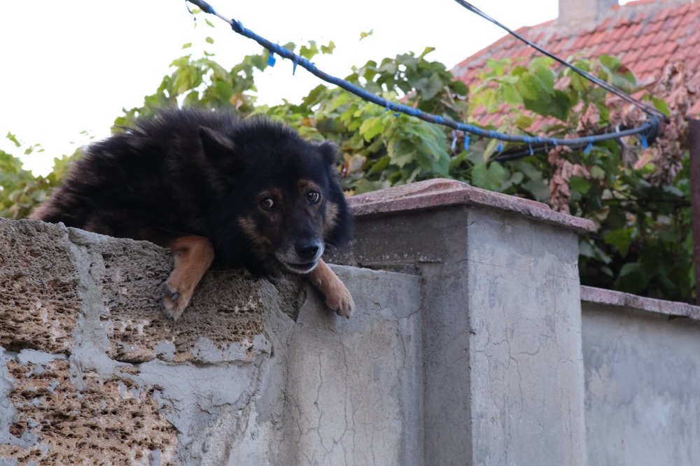 Photograph by Михаил Нестеренко