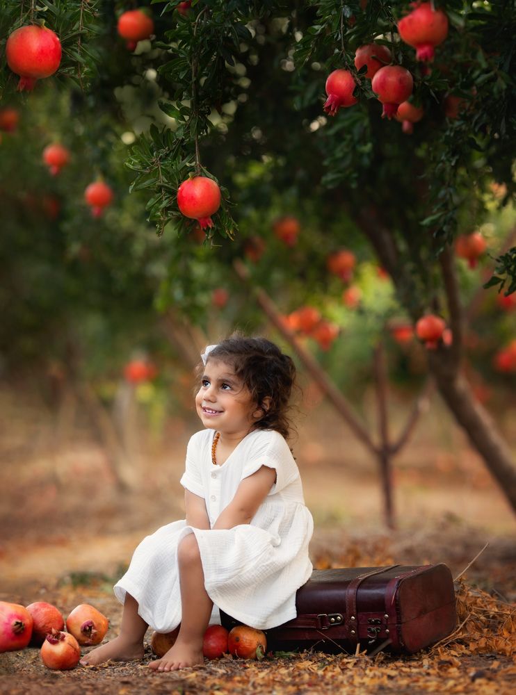 Photograph by oran shuv