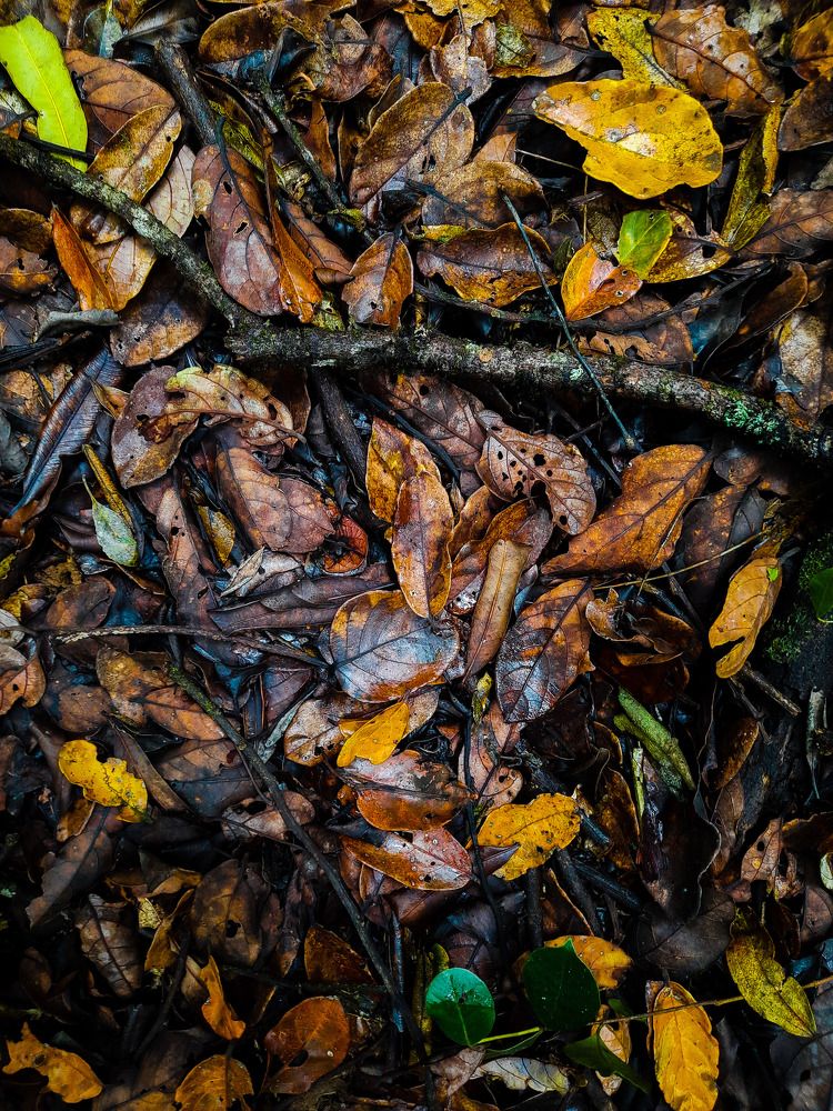 Photograph by Tah Afitahina