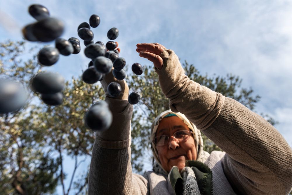 Photograph by mehmet yener
