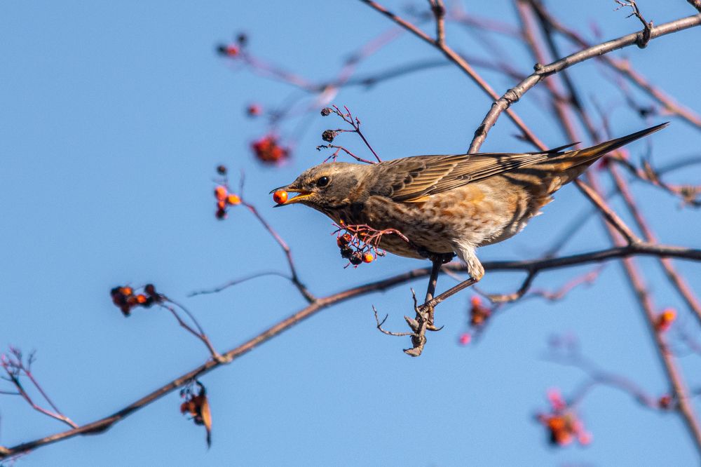 Photograph by Виктор Чернюк