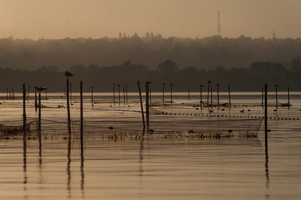 Photograph by Mariusz Najmowicz