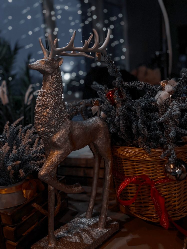 Photograph by Марина Виноградова