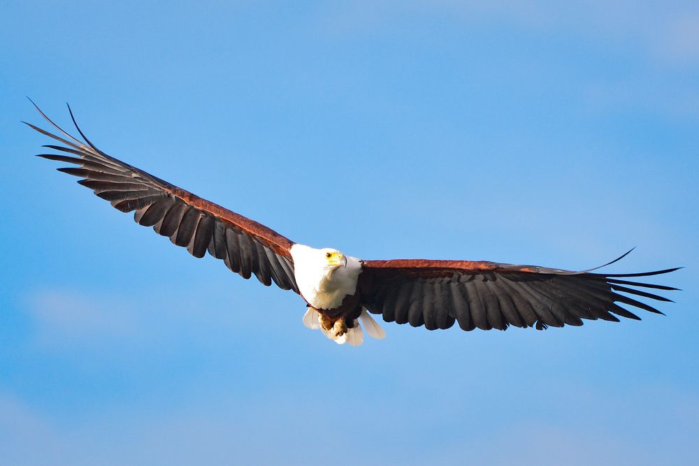 Photograph by Obadiah Muraya