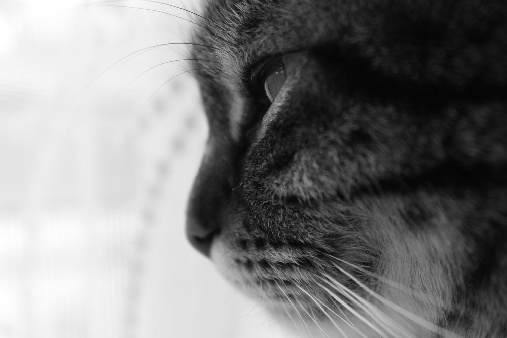 Photograph by Jale Yıkılmaz Kevran