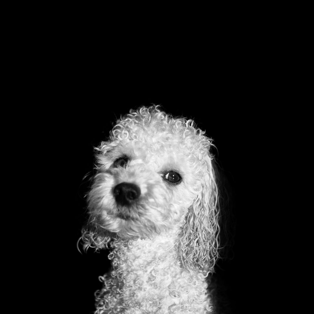 Photograph by Dorota Hnatová