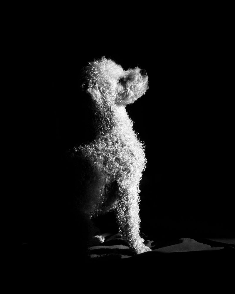 Photograph by Dorota Hnatová