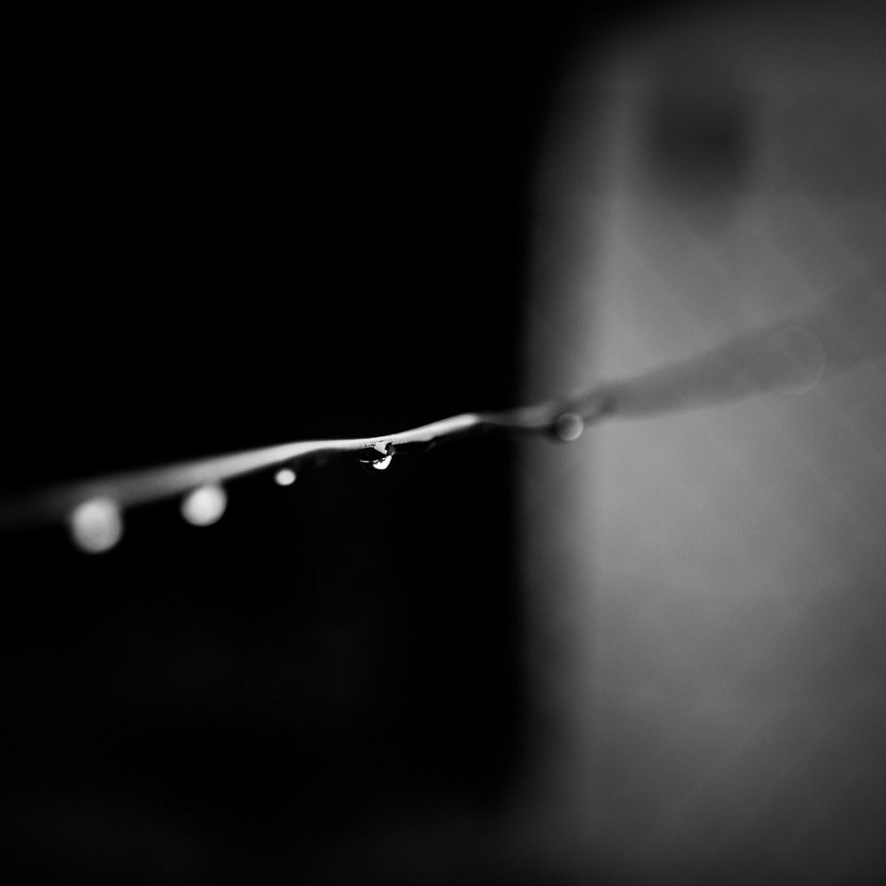 Photograph by Dorota Hnatová