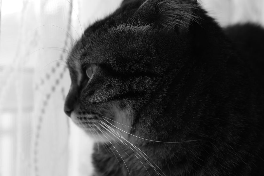 Photograph by Jale Yıkılmaz Kevran