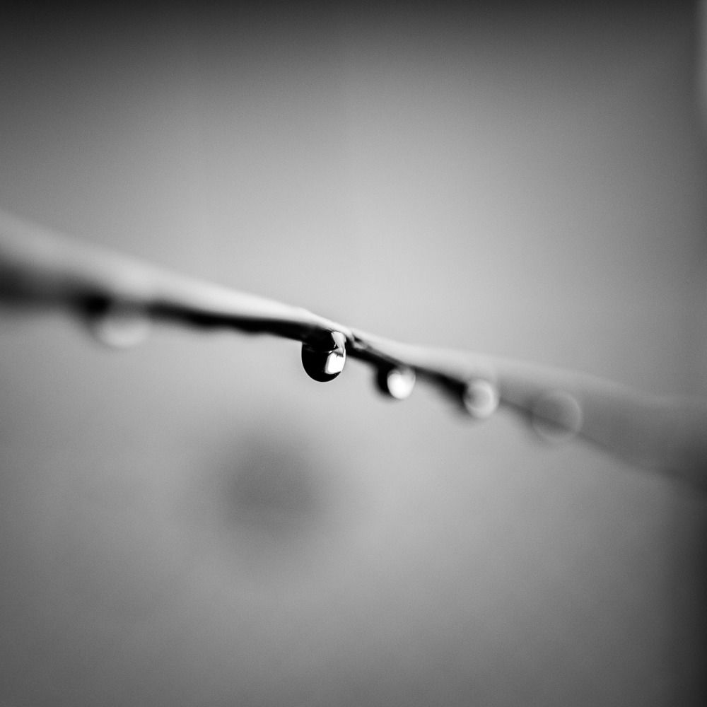 Photograph by Dorota Hnatová