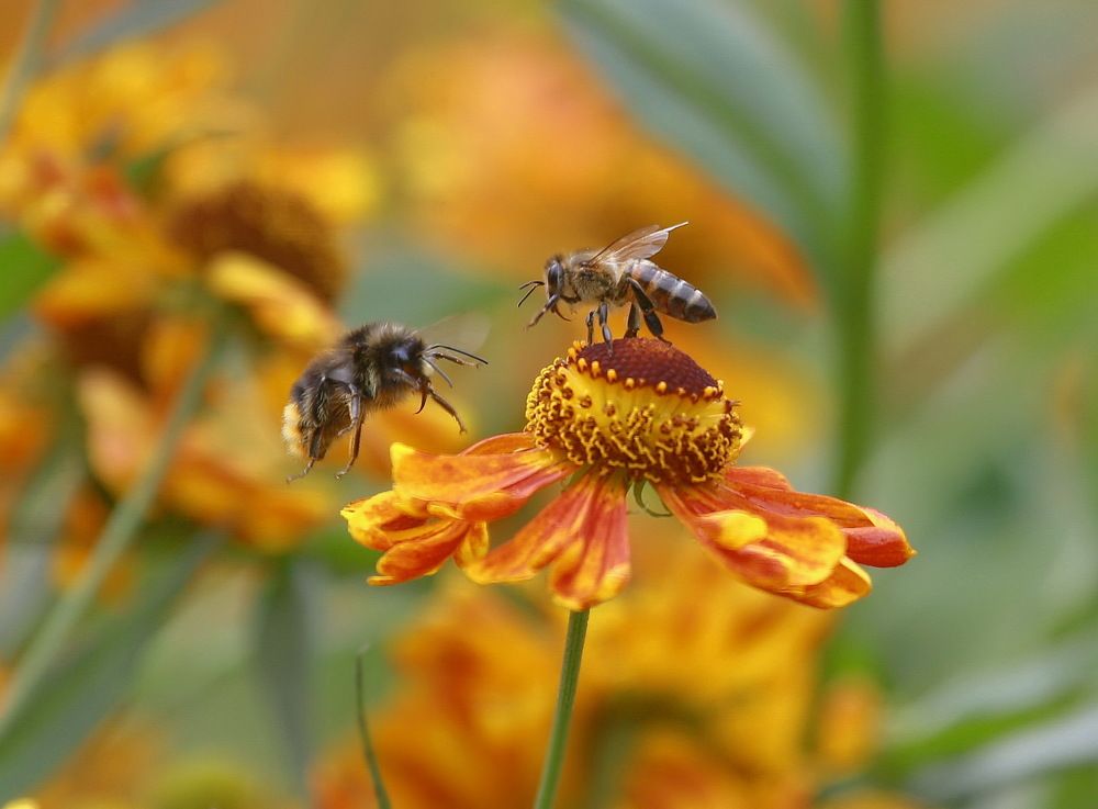 Photograph by Андрей Брагин