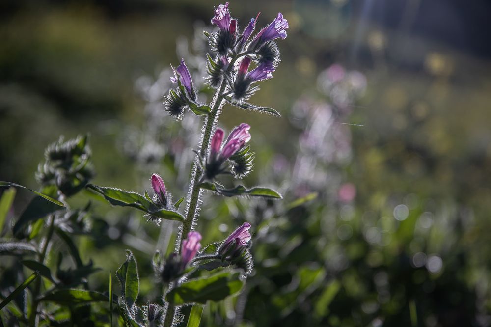 Photograph by marianna chechik