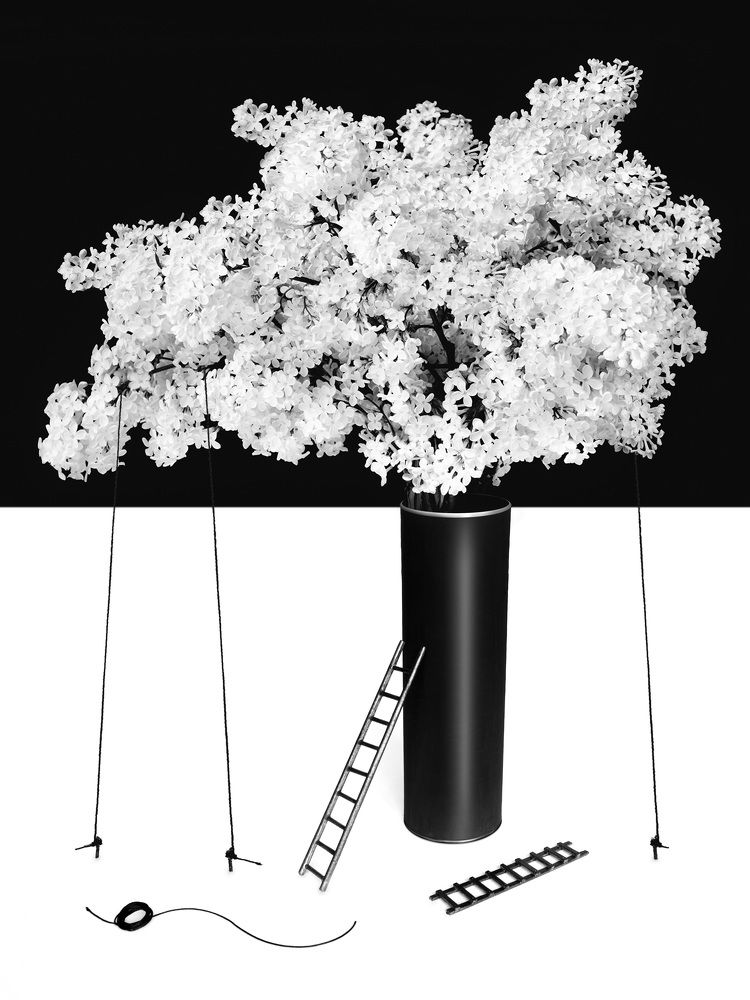 Букет сирени