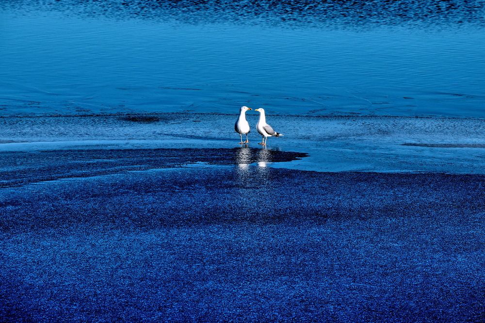 Photograph by Владимир Подкуйко