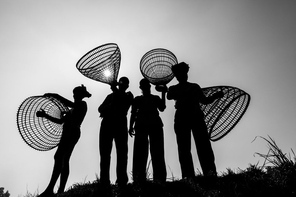 Photograph by Protap Shekhor Mohanto