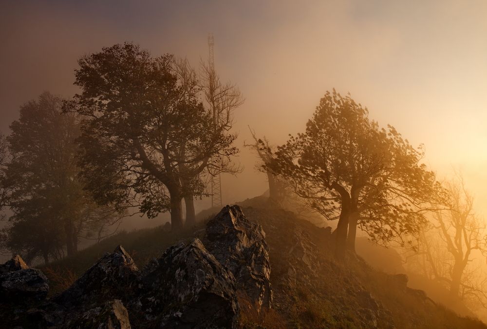 Photograph by Renáta Kuljovská