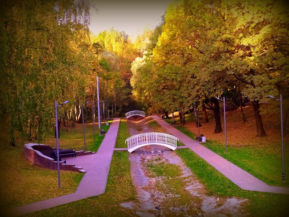 Photograph by Елена Беляева