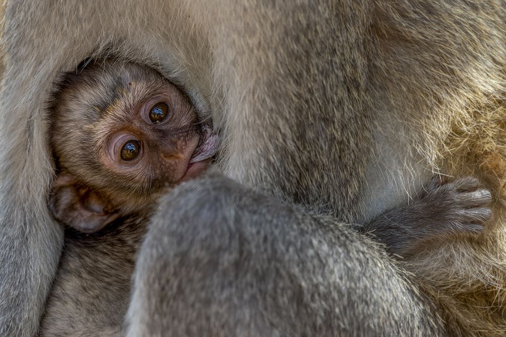 Photograph by Evgeny Borisov