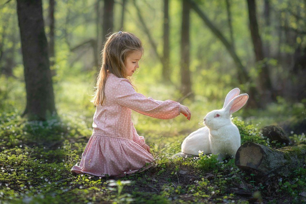 Photograph by Васильева Ольга