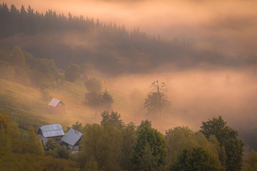 Fairytale in Bucovina