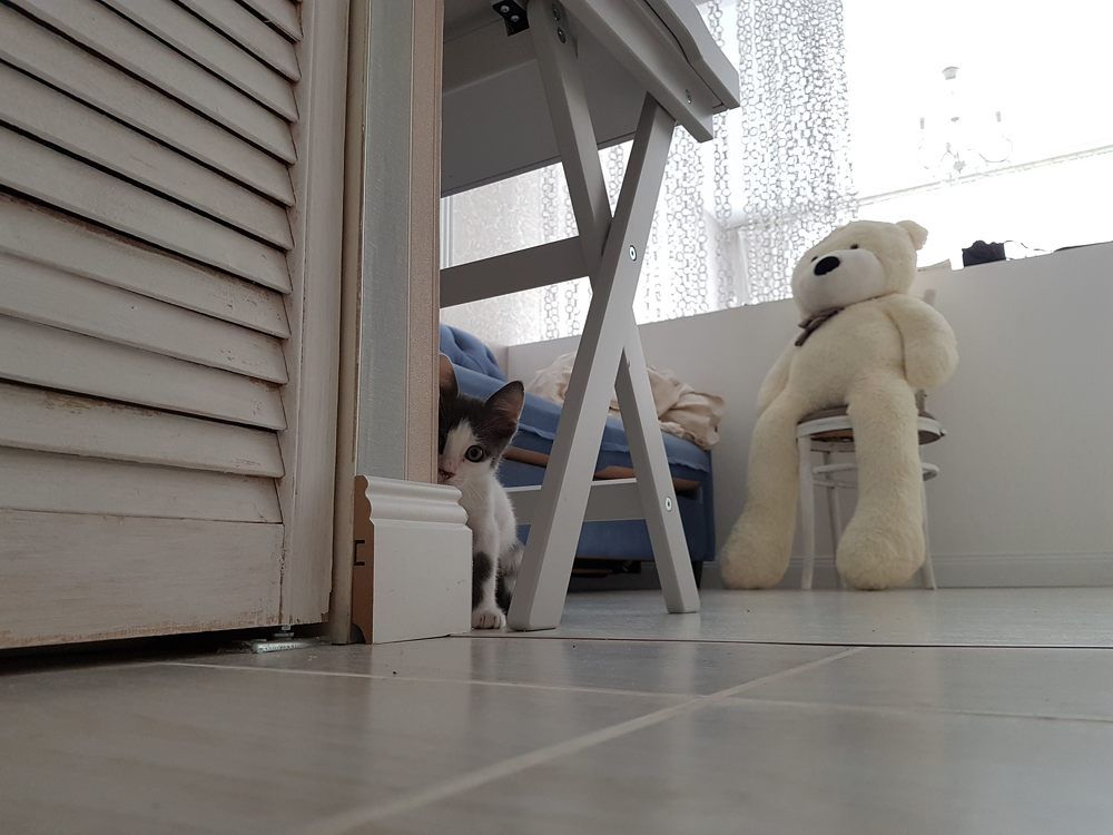 Photograph by Паша