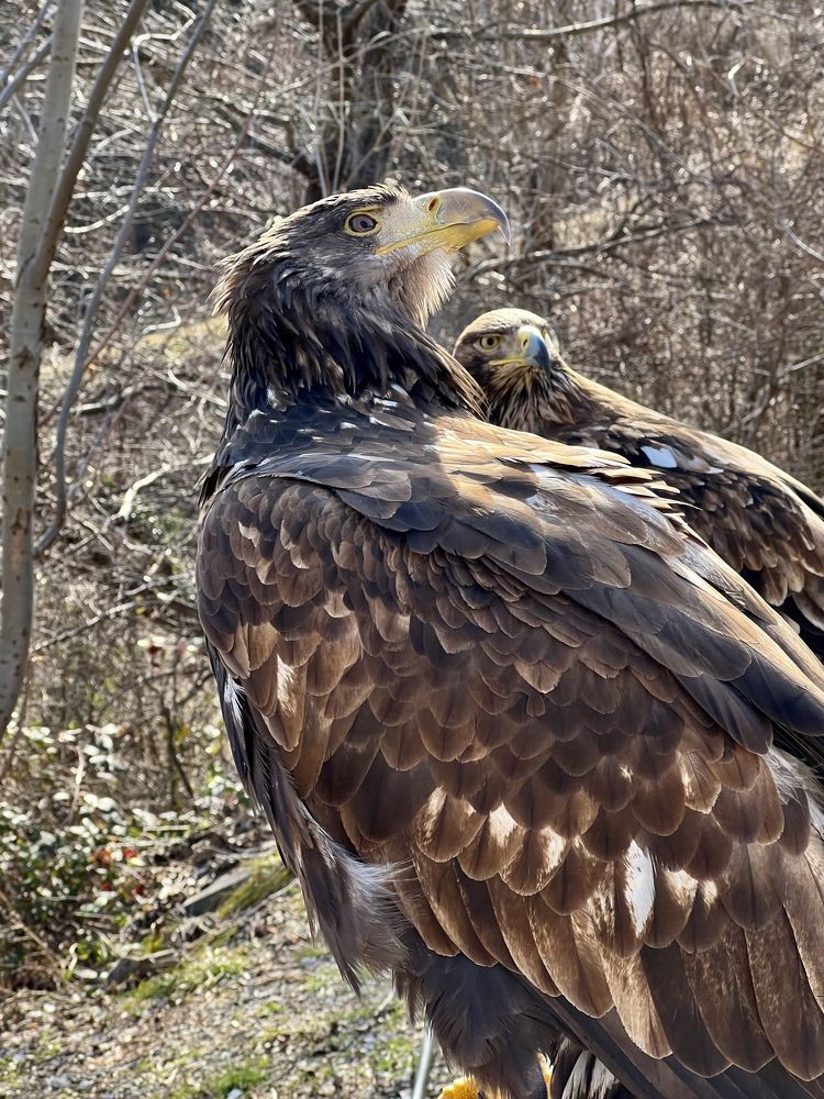 Photograph by Елена Мизина