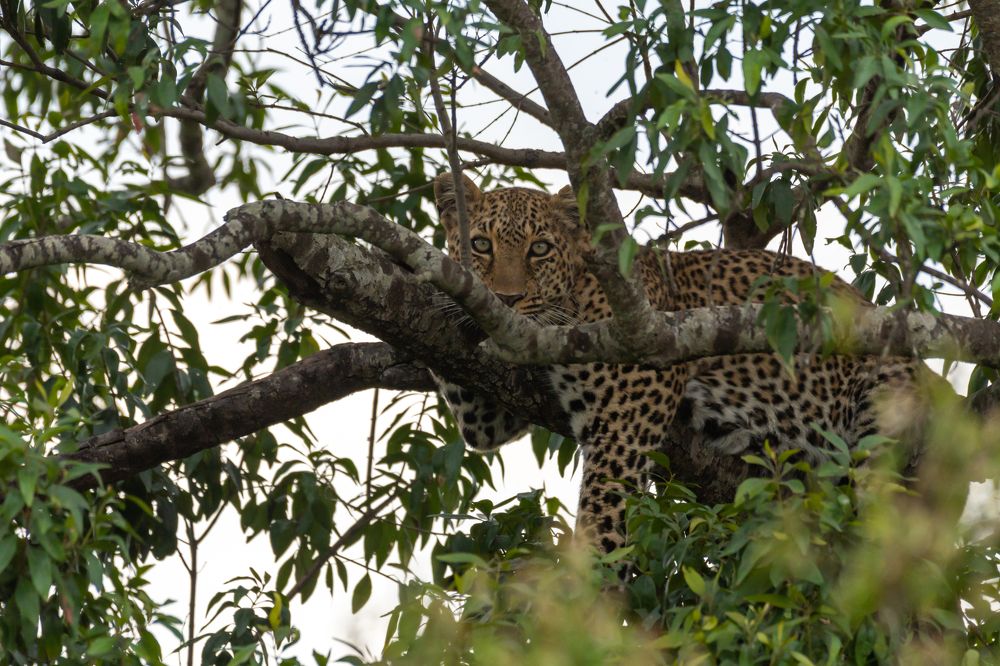 Фотография автора Hari Govindarajulu