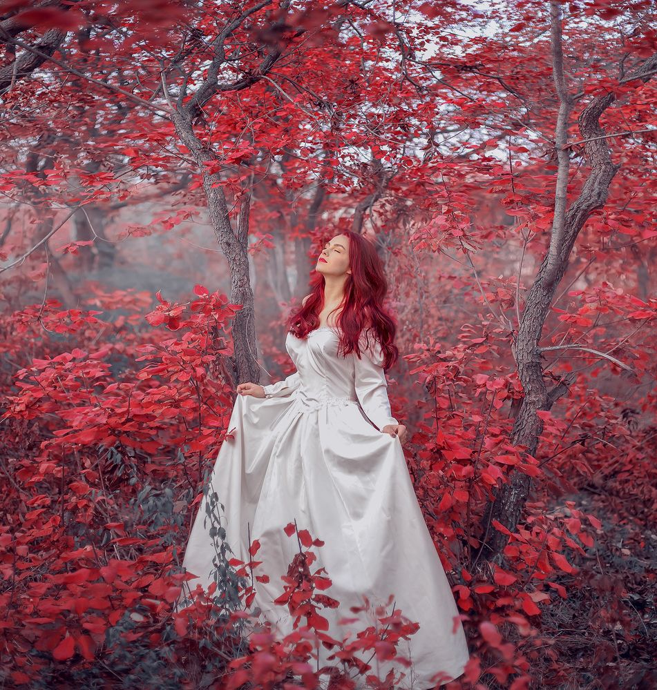 Сказочный лес