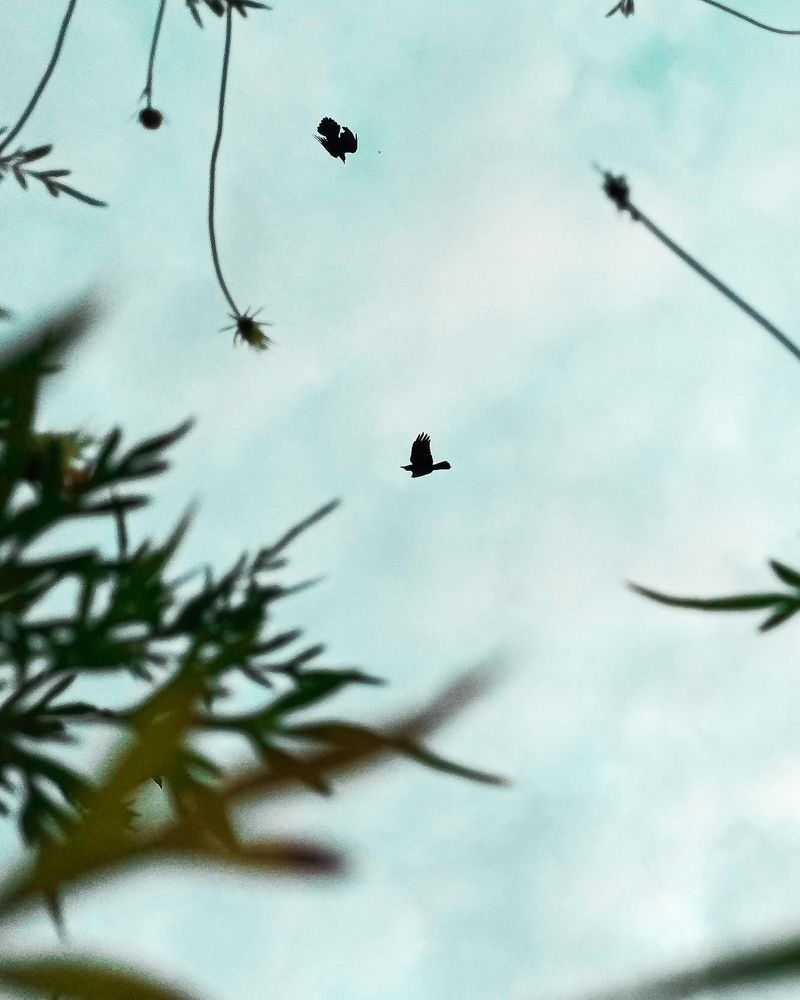 Photograph by Anagha Peethambaran