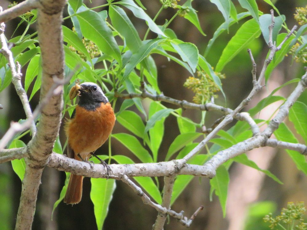 Photograph by Ольга Панкова