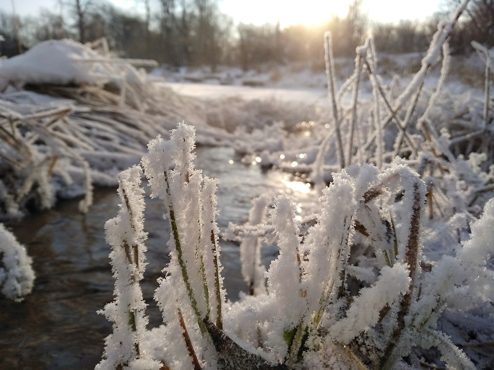 Photograph by Павел