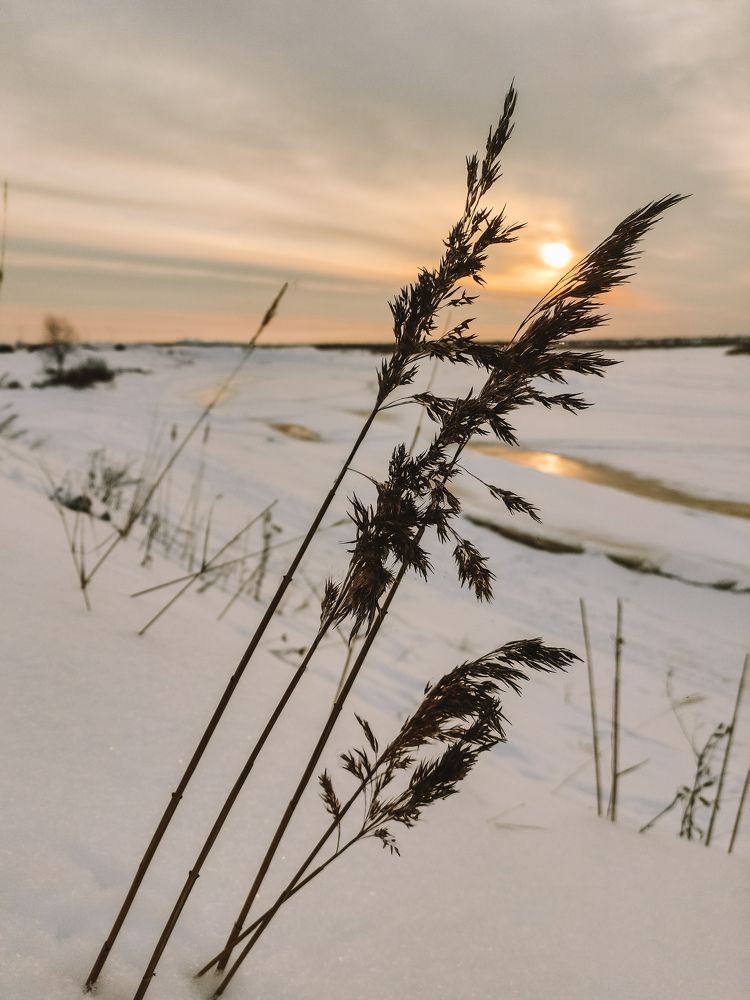 Photograph by Светлана