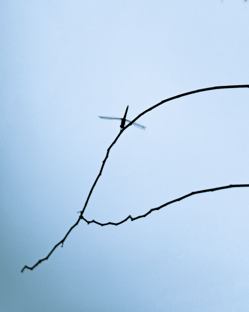 Photograph by Anagha Peethambaran