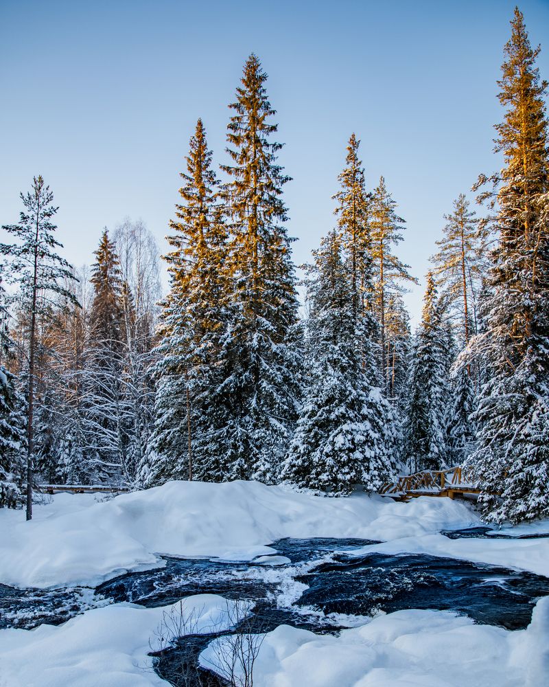 Photograph by Евгений Краснов