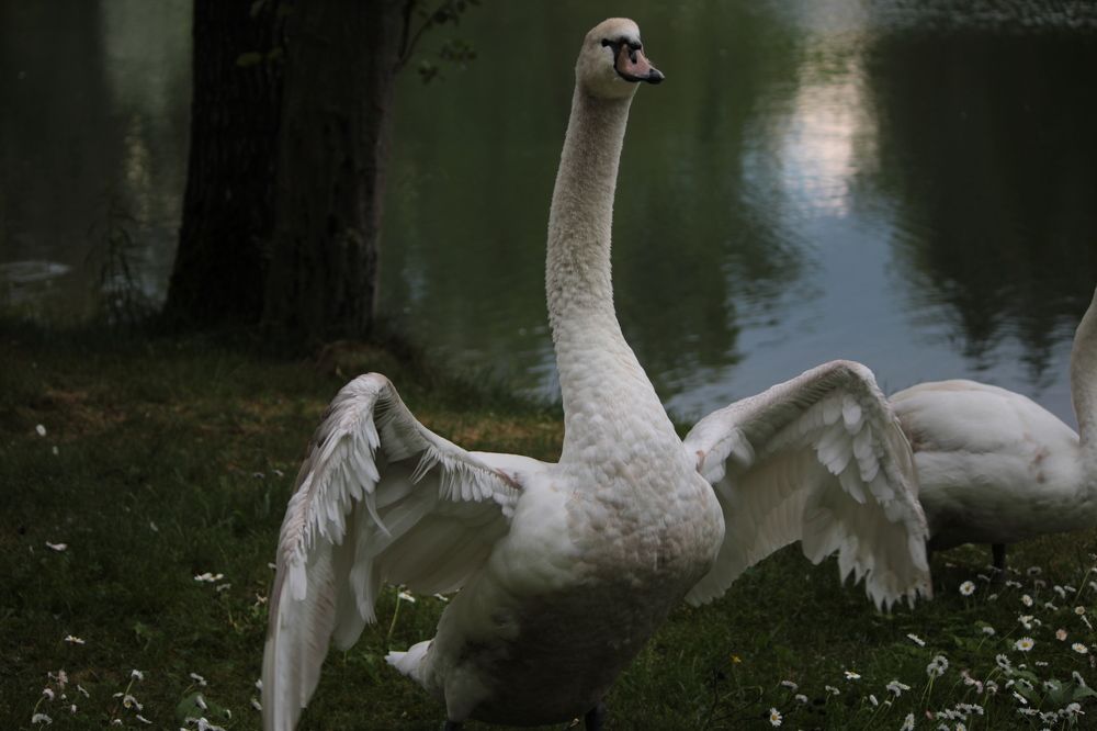 Фотография автора Никита Гутор